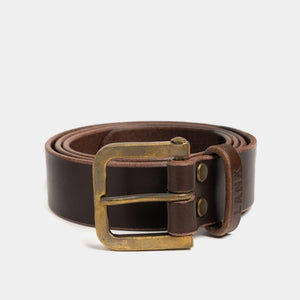 HODDER / BROWN & GOLD