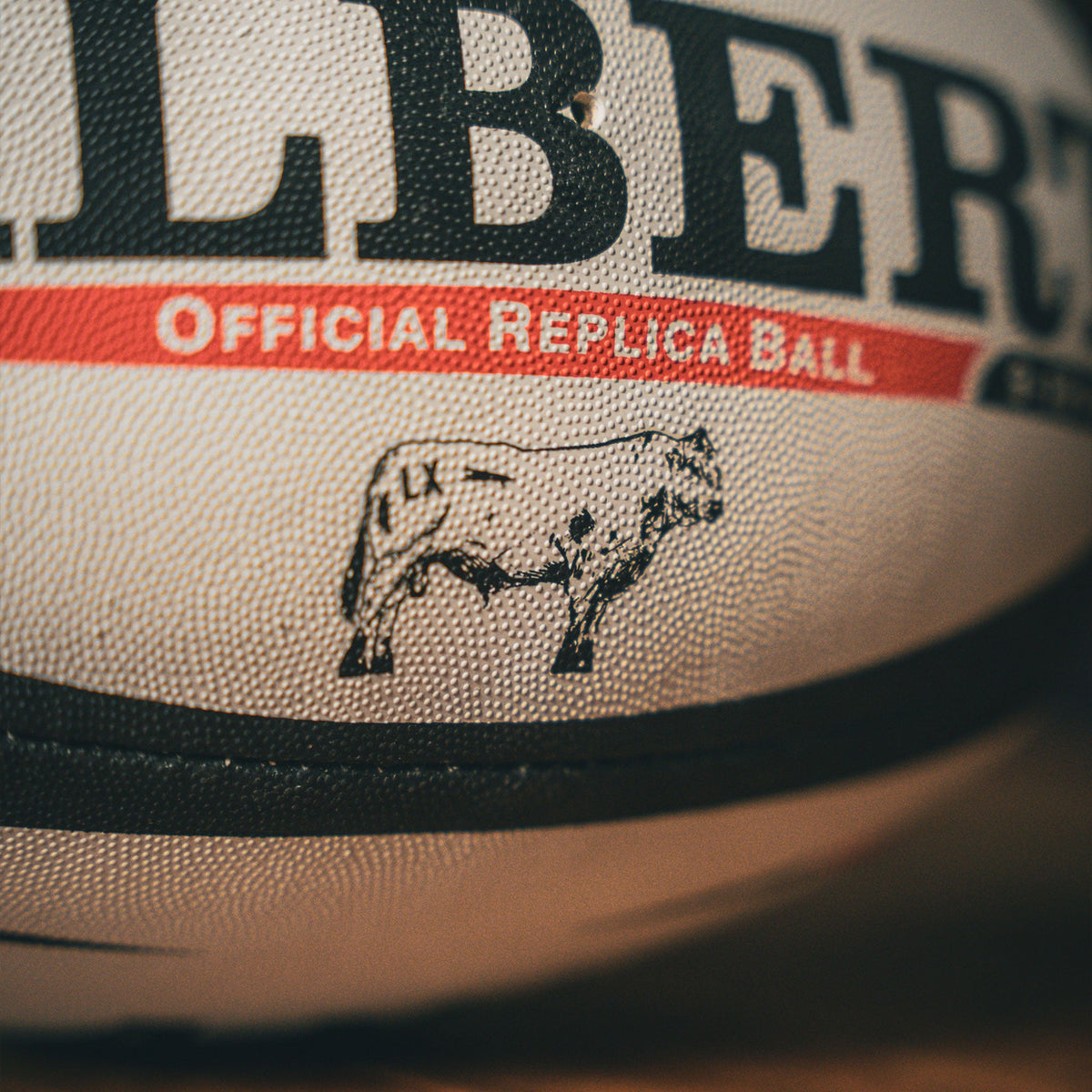 WEBB ELLIS / WHITE, BLACK & KOI-Rugby Ball