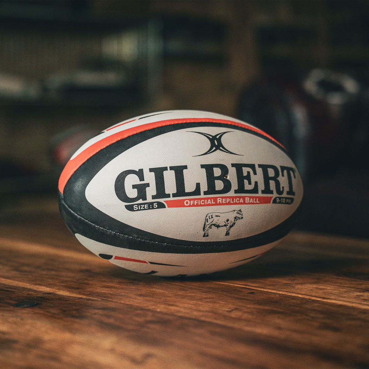 WEBB ELLIS / WHITE, BLACK & KOI-Rugby Ball