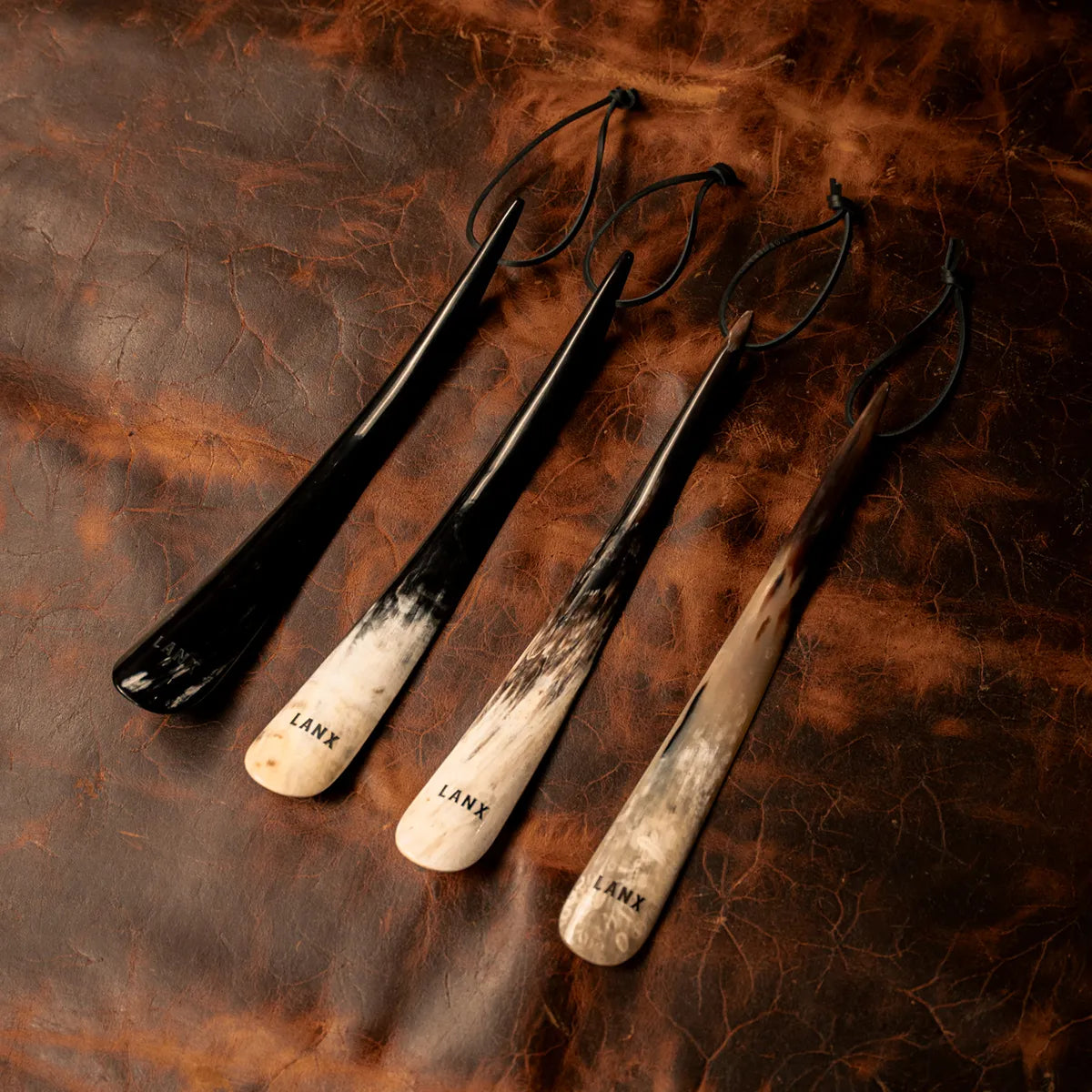 CARNFORTH / SHOE HORN-Shoe Care