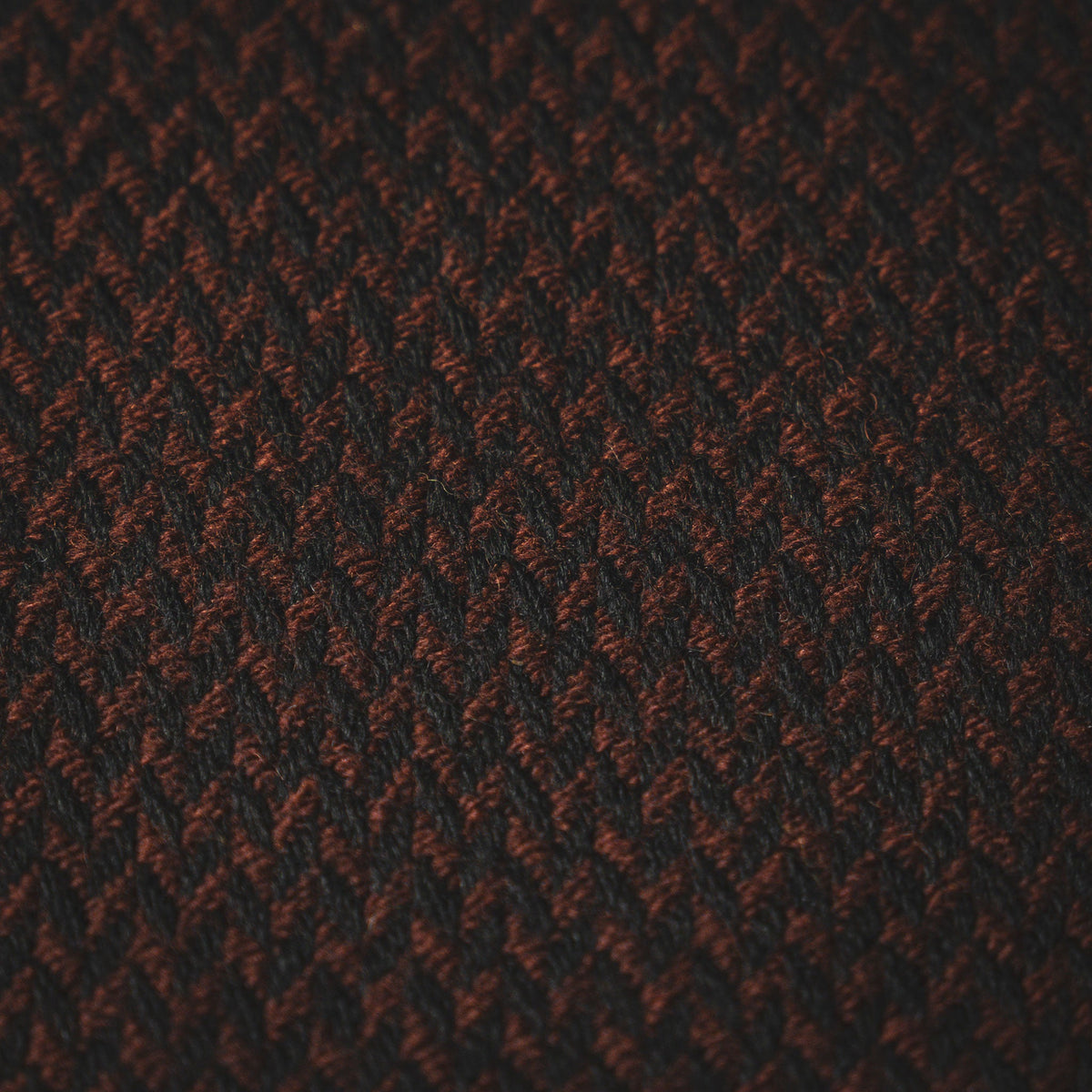 SALTERFORTH / BROWN-Scarf
