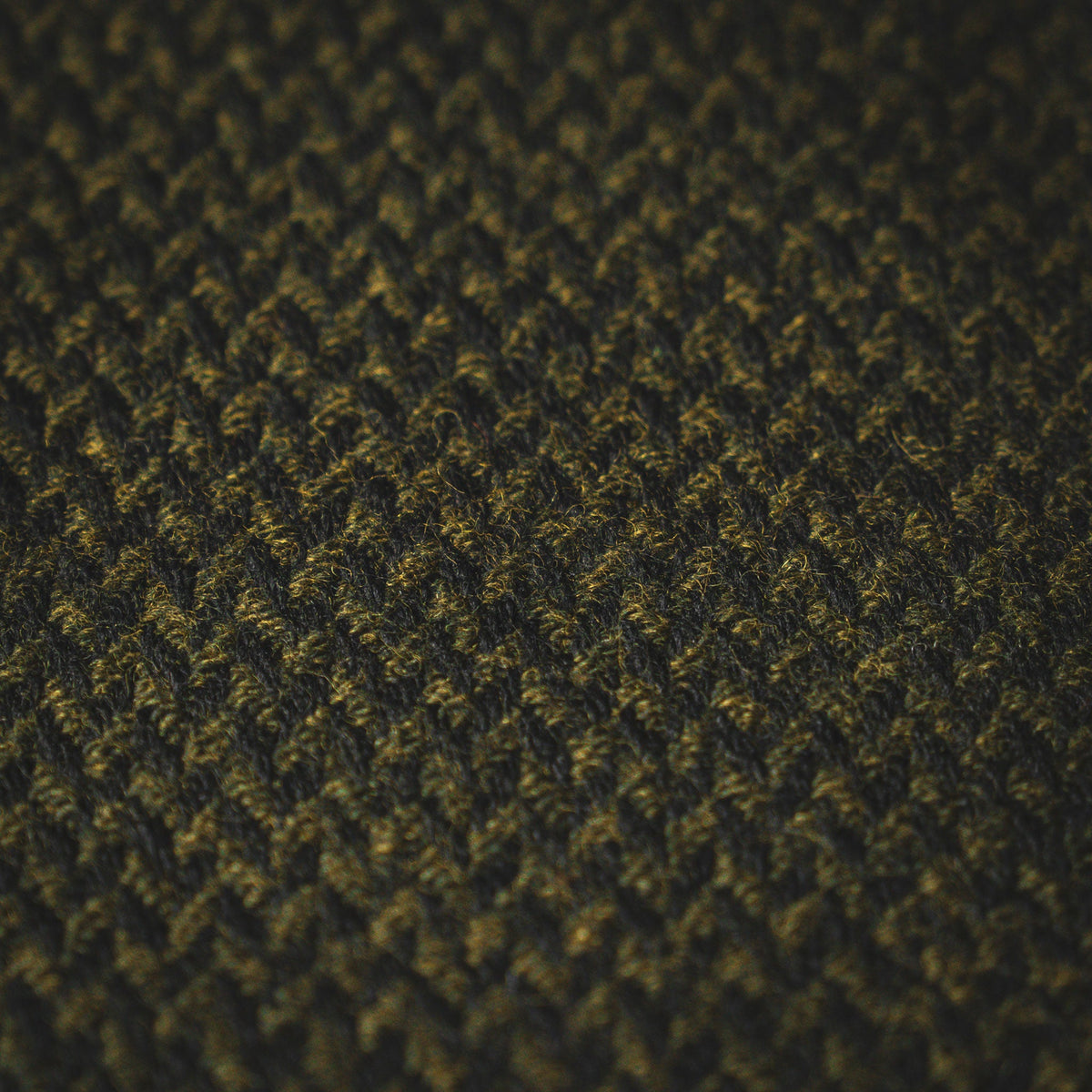 SALTERFORTH / GREEN-Scarf